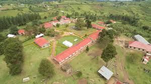 School Back View
